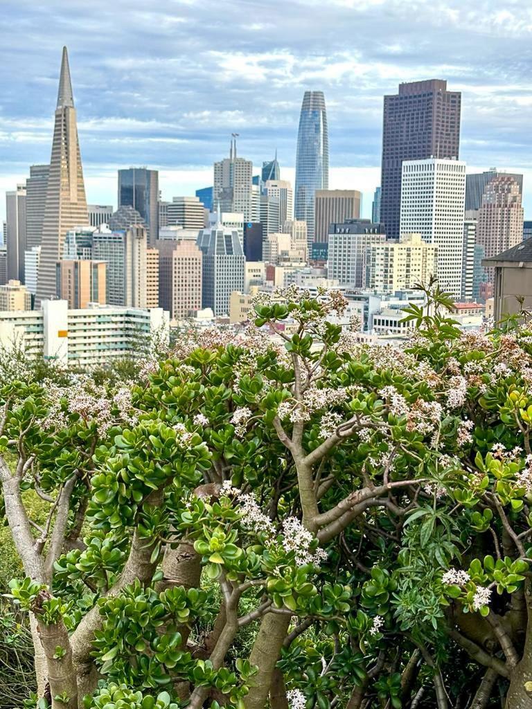 Ith San Francisco Pacific Tradewinds Backpacker Hostel ภายนอก รูปภาพ